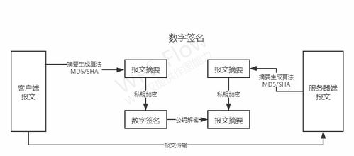 計算機網絡技術開發 連接世界的數字橋梁