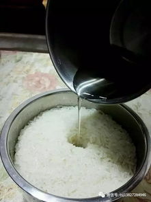 米酒與醪糟的差異探秘